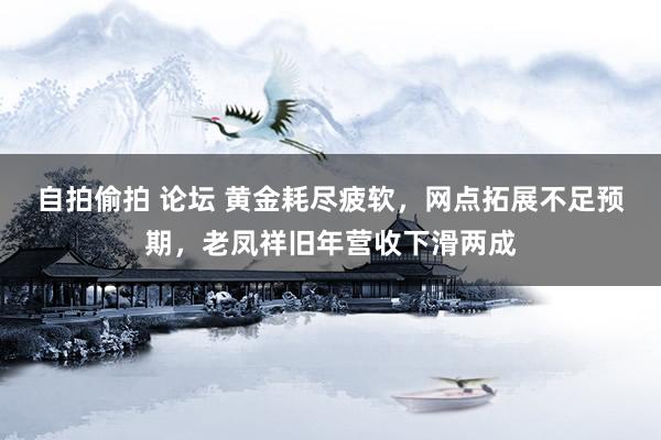 自拍偷拍 论坛 黄金耗尽疲软，网点拓展不足预期，老凤祥旧年营收下滑两成