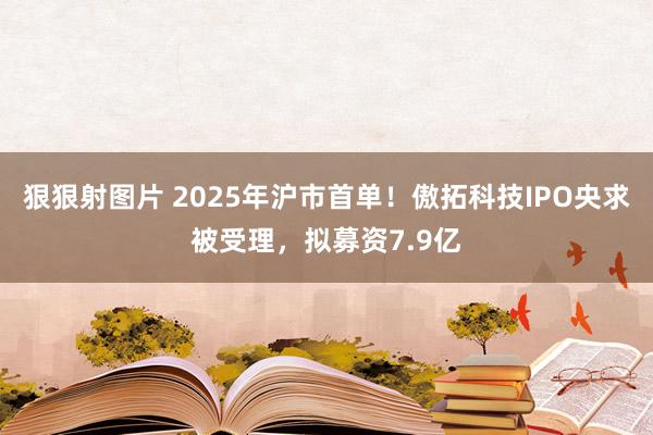狠狠射图片 2025年沪市首单！傲拓科技IPO央求被受理，拟募资7.9亿