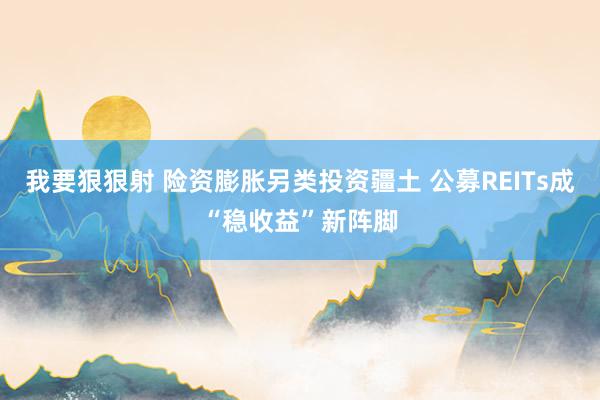 我要狠狠射 险资膨胀另类投资疆土 公募REITs成“稳收益”新阵脚