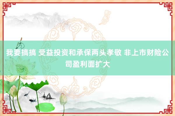 我要搞搞 受益投资和承保两头孝敬 非上市财险公司盈利面扩大