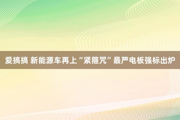 爱搞搞 新能源车再上“紧箍咒”最严电板强标出炉