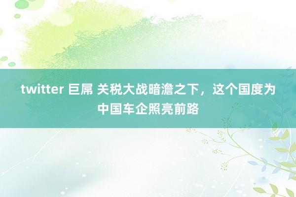 twitter 巨屌 关税大战暗澹之下，这个国度为中国车企照亮前路