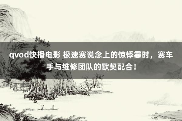qvod快播电影 极速赛说念上的惊悸霎时，赛车手与维修团队的默契配合！