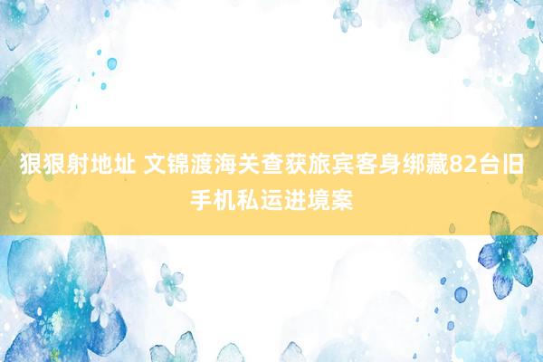 狠狠射地址 文锦渡海关查获旅宾客身绑藏82台旧手机私运进境案