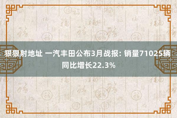 狠狠射地址 一汽丰田公布3月战报: 销量71025辆 同比增长22.3%