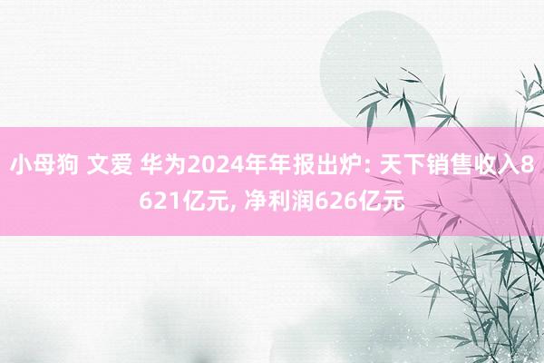 小母狗 文爱 华为2024年年报出炉: 天下销售收入8621亿元， 净利润626亿元