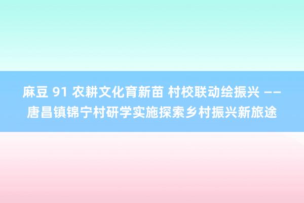 麻豆 91 农耕文化育新苗 村校联动绘振兴 ——唐昌镇锦宁村研学实施探索乡村振兴新旅途