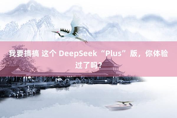 我要搞搞 这个 DeepSeek “Plus” 版，你体验过了吗？