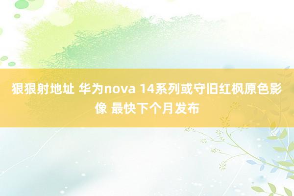 狠狠射地址 华为nova 14系列或守旧红枫原色影像 最快下个月发布